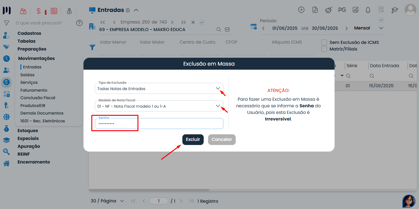 Janela do Sistema Contábil Makro com opções de tipo de exclusão, modelo fiscal e senha para concluir a Exclusão de Notas Fiscais.